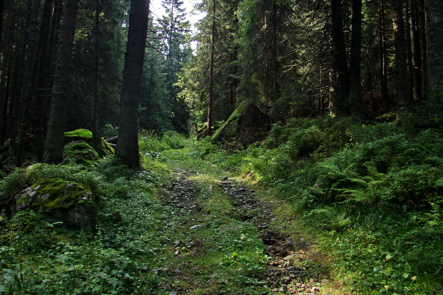 Ďumbier z Jánskej doliny (Nízke Tatry)