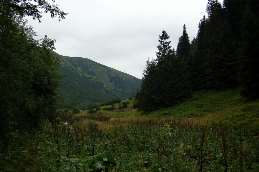 Ďumbier z Jánskej doliny (Nízke Tatry)