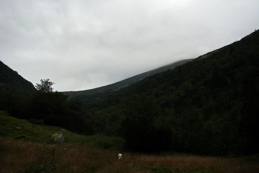 Ďumbier z Jánskej doliny (Nízke Tatry)