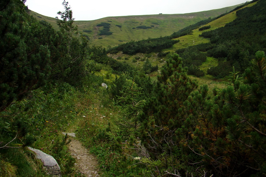 Ďumbier z Jánskej doliny (Nízke Tatry)