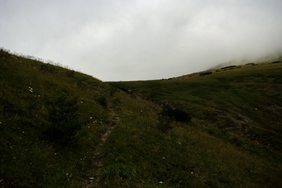 Ďumbier z Jánskej doliny (Nízke Tatry)