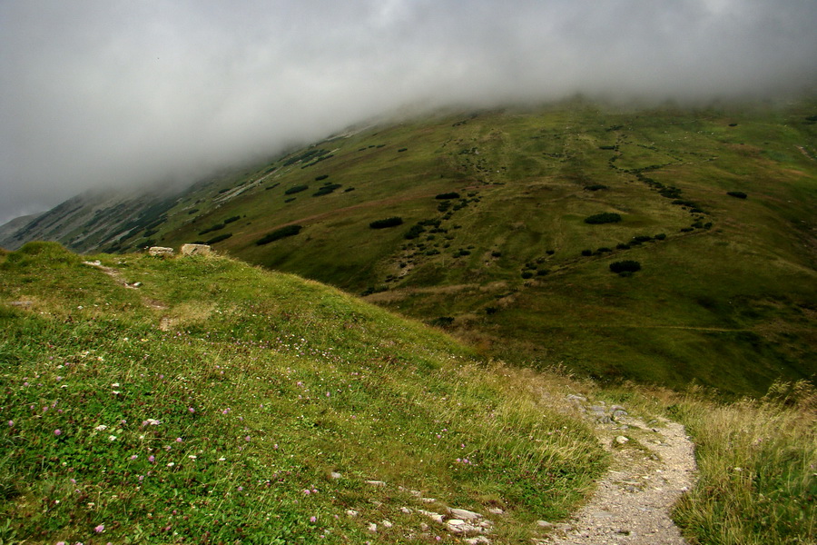 Ďumbier z Jánskej doliny (Nízke Tatry)