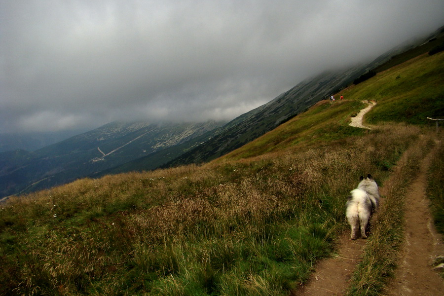 Ďumbier z Jánskej doliny (Nízke Tatry)