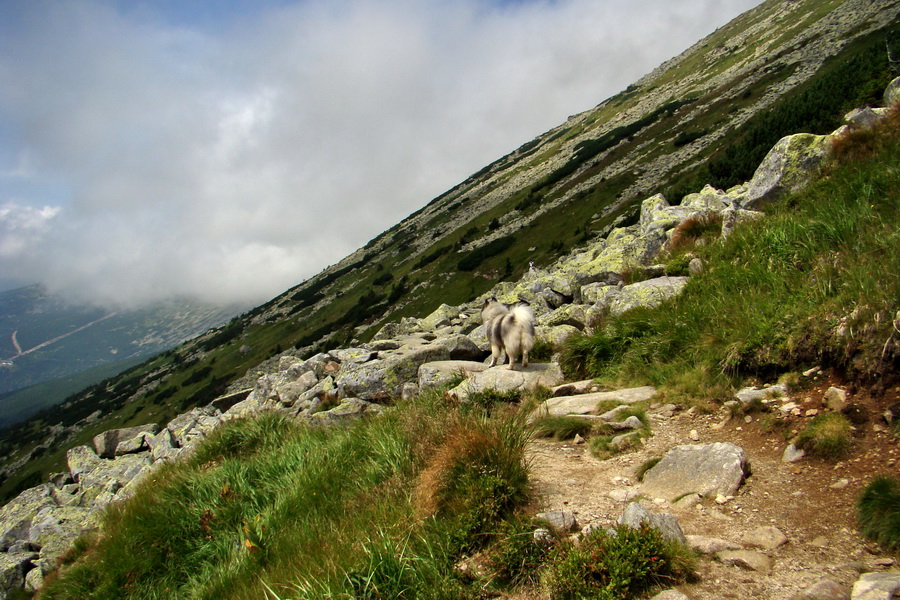 Ďumbier z Jánskej doliny (Nízke Tatry)