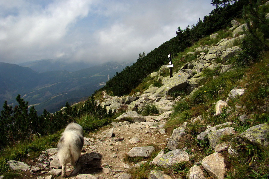 Ďumbier z Jánskej doliny (Nízke Tatry)