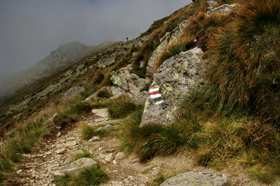 Ďumbier z Jánskej doliny (Nízke Tatry)