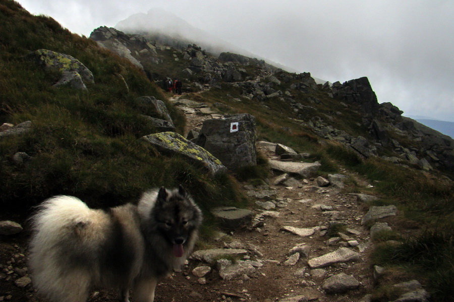 Ďumbier z Jánskej doliny (Nízke Tatry)