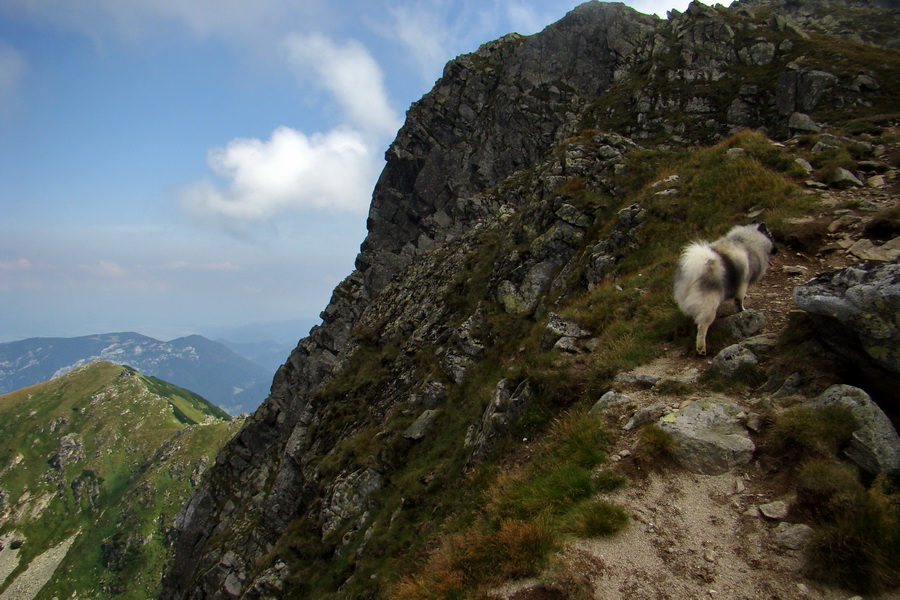 Ďumbier z Jánskej doliny (Nízke Tatry)