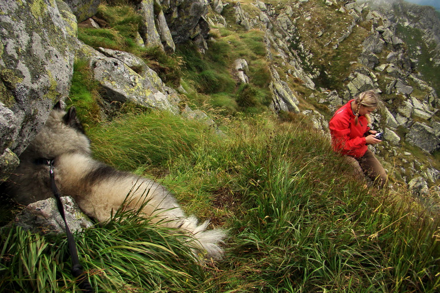 Ďumbier z Jánskej doliny (Nízke Tatry)