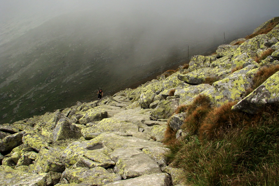 Ďumbier z Jánskej doliny (Nízke Tatry)