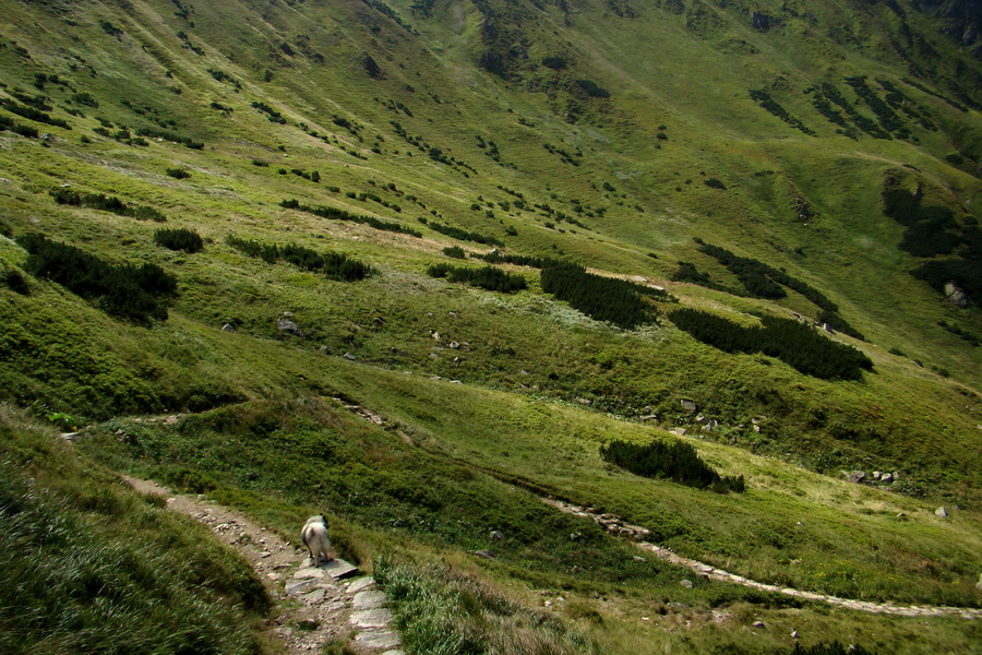 Ďumbier z Jánskej doliny (Nízke Tatry)