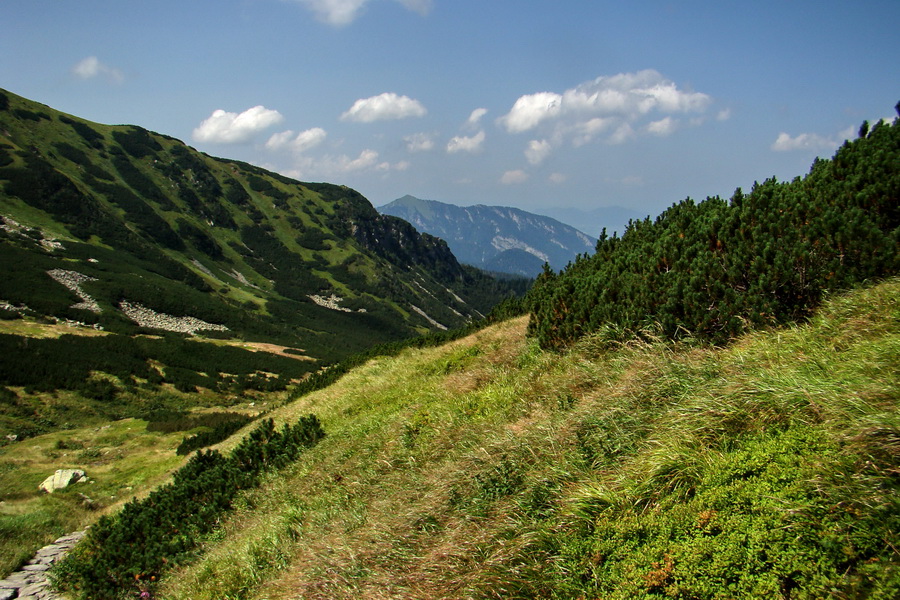 Ďumbier z Jánskej doliny (Nízke Tatry)