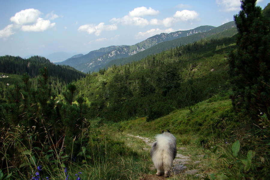 Ďumbier z Jánskej doliny (Nízke Tatry)