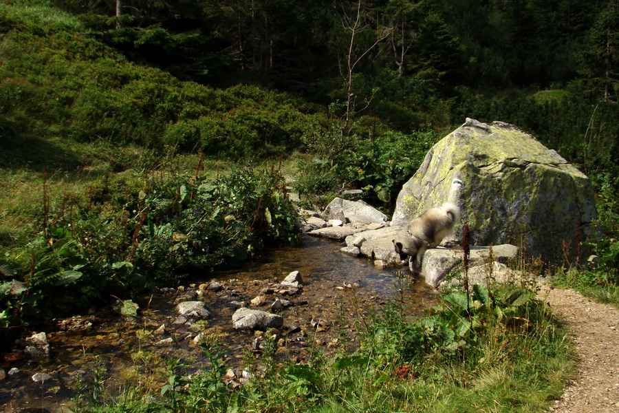 Ďumbier z Jánskej doliny (Nízke Tatry)