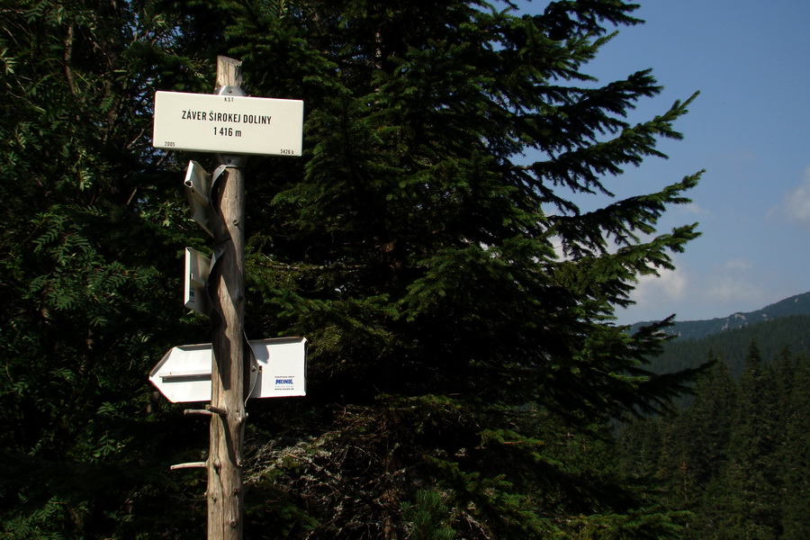 Ďumbier z Jánskej doliny (Nízke Tatry)