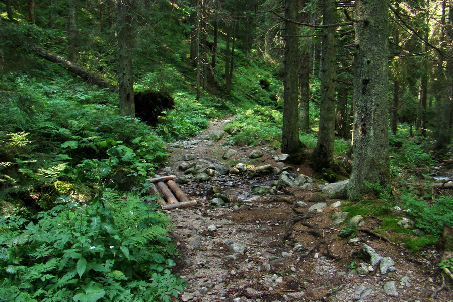 Ďumbier z Jánskej doliny (Nízke Tatry)