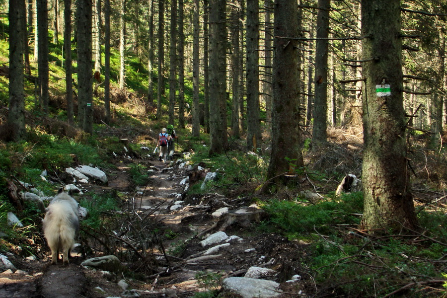 Ďumbier z Jánskej doliny (Nízke Tatry)