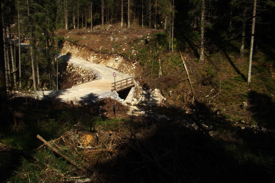 Ďumbier z Jánskej doliny (Nízke Tatry)