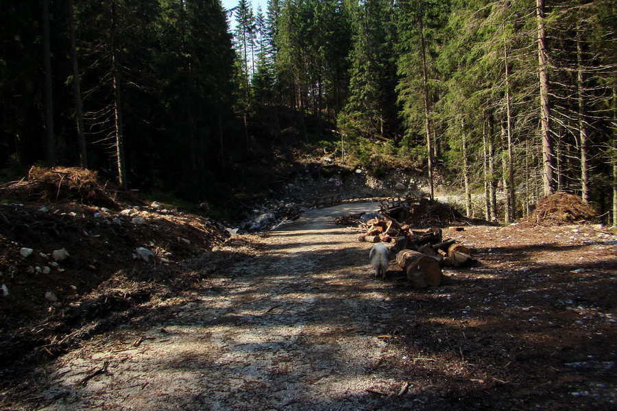 Ďumbier z Jánskej doliny (Nízke Tatry)