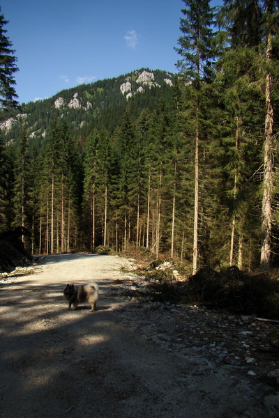 Ďumbier z Jánskej doliny (Nízke Tatry)