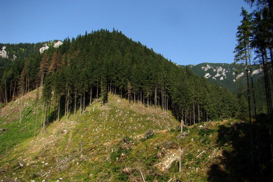 Ďumbier z Jánskej doliny (Nízke Tatry)