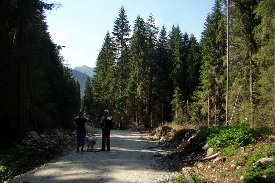 Ďumbier z Jánskej doliny (Nízke Tatry)