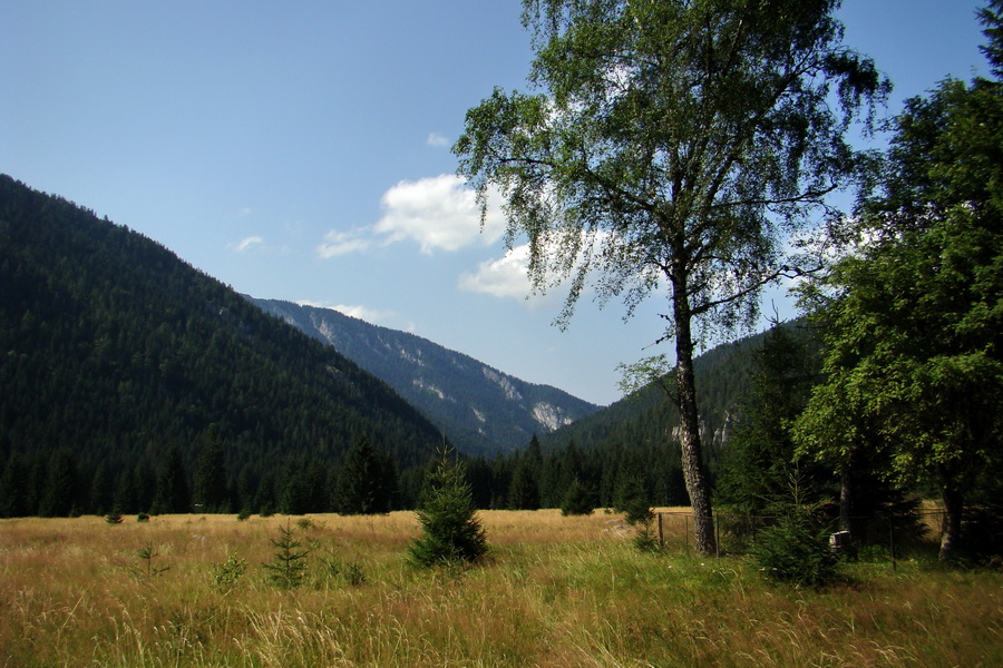 Ďumbier z Jánskej doliny (Nízke Tatry)