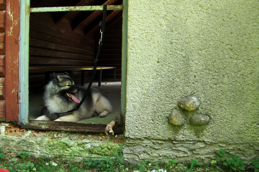 Ďumbier z Jánskej doliny (Nízke Tatry)