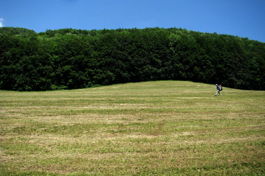 Fabova hoľa (s nocľahom) (Muránska planina)