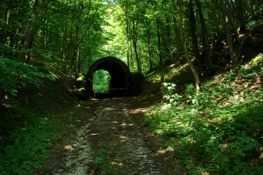 Fabova hoľa (s nocľahom) (Muránska planina)