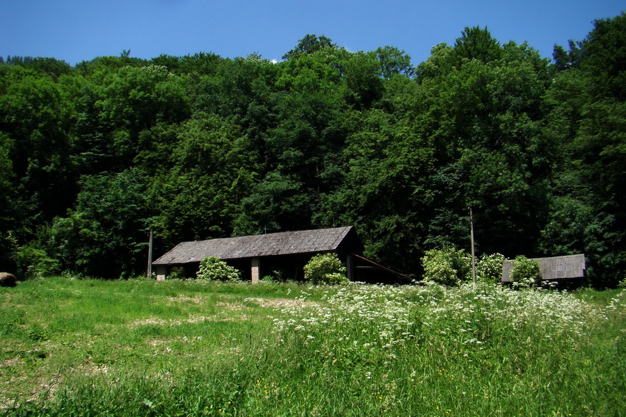 Fabova hoľa (s nocľahom) (Muránska planina)