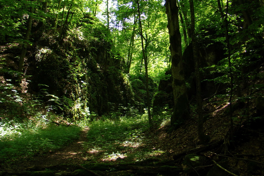 Fabova hoľa (s nocľahom) (Muránska planina)