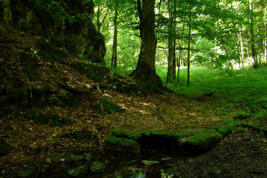 Fabova hoľa (s nocľahom) (Muránska planina)