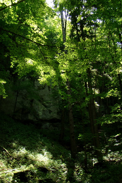 Fabova hoľa (s nocľahom) (Muránska planina)