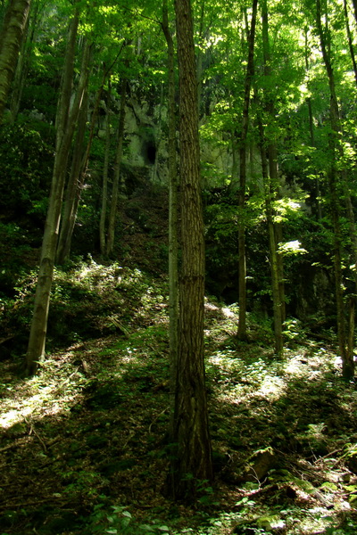 Fabova hoľa (s nocľahom) (Muránska planina)