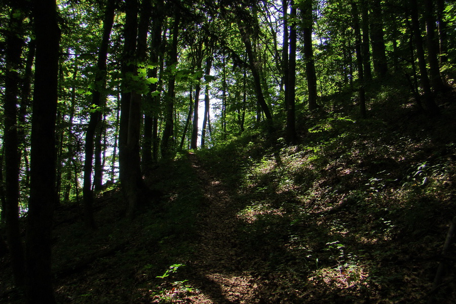 Fabova hoľa (s nocľahom) (Muránska planina)