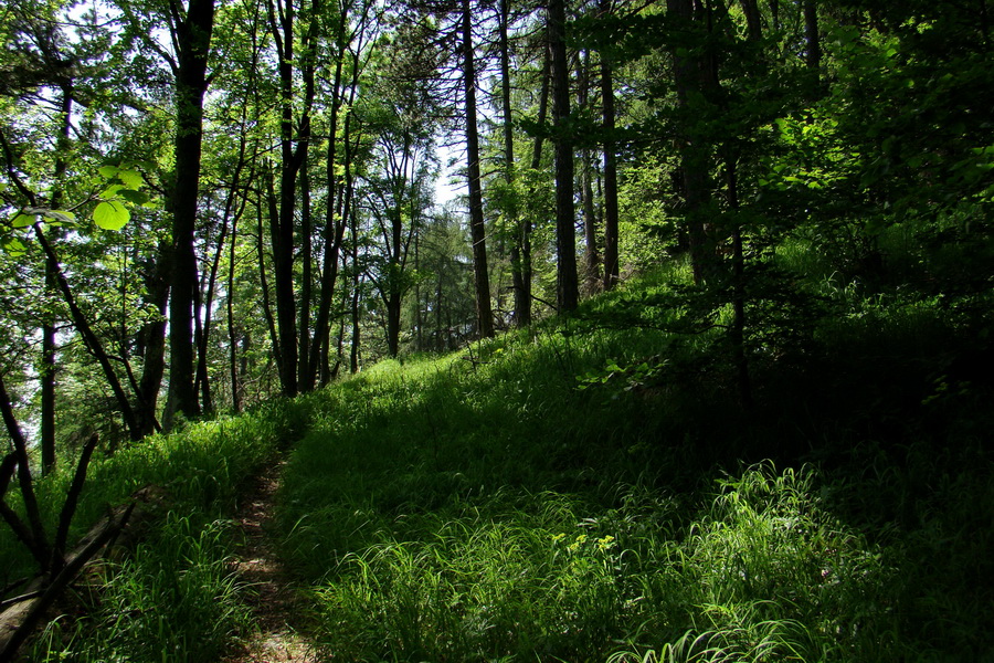 Fabova hoľa (s nocľahom) (Muránska planina)