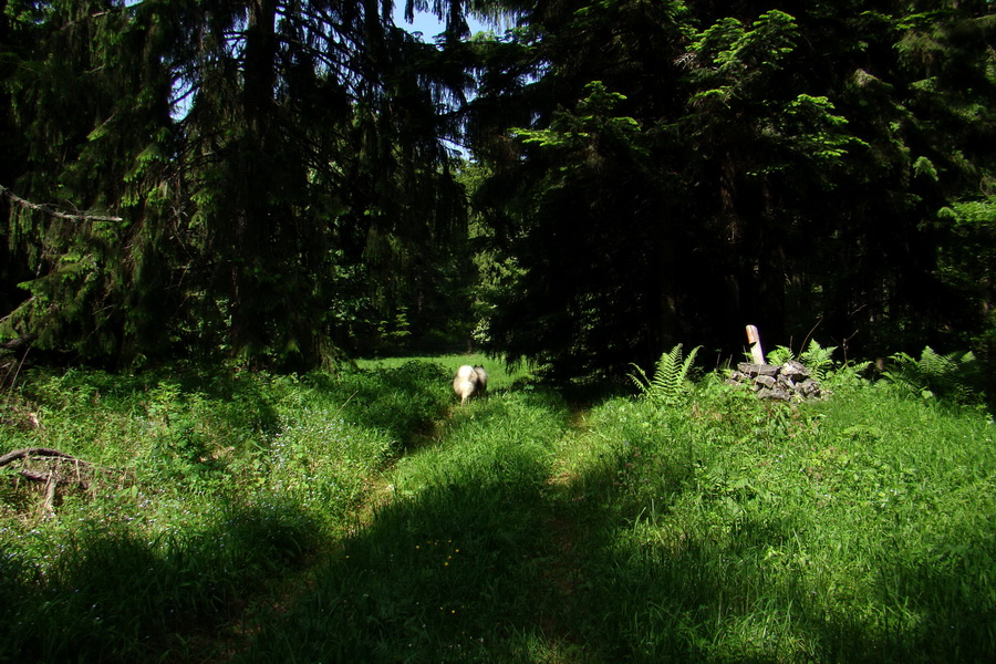 Fabova hoľa (s nocľahom) (Muránska planina)