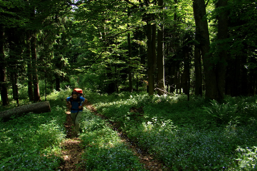 Fabova hoľa (s nocľahom) (Muránska planina)