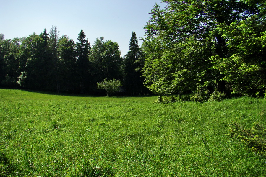 Fabova hoľa (s nocľahom) (Muránska planina)