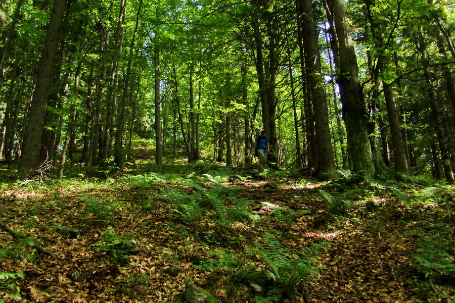 Fabova hoľa (s nocľahom) (Muránska planina)