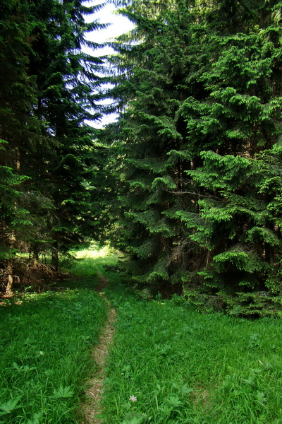 Fabova hoľa (s nocľahom) (Muránska planina)