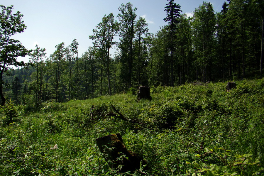 Fabova hoľa (s nocľahom) (Muránska planina)