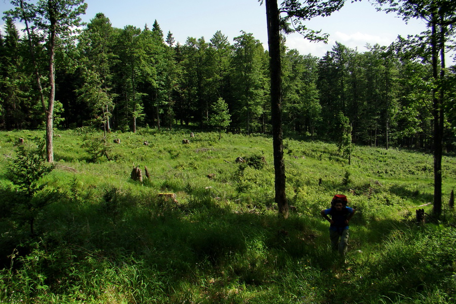 Fabova hoľa (s nocľahom) (Muránska planina)