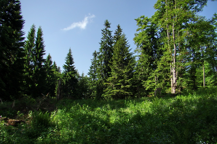 Fabova hoľa (s nocľahom) (Muránska planina)