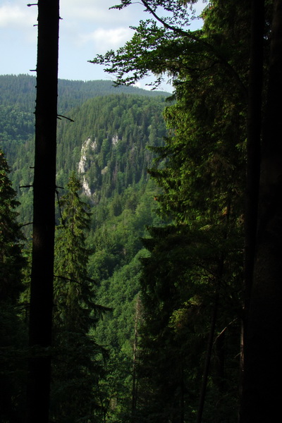 Fabova hoľa (s nocľahom) (Muránska planina)