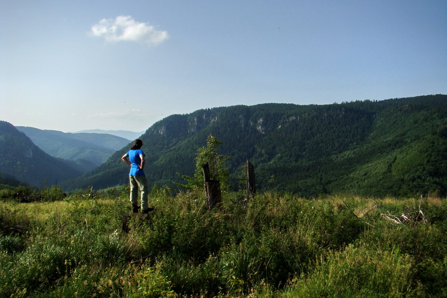 Fabova hoľa (s nocľahom) (Muránska planina)