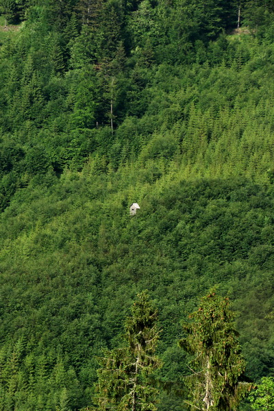 Fabova hoľa (s nocľahom) (Muránska planina)