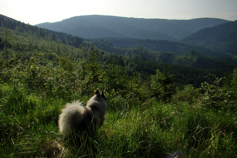 Fabova hoľa (s nocľahom) (Muránska planina)