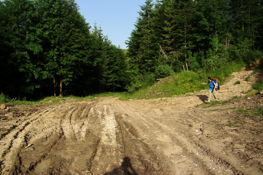 Fabova hoľa (s nocľahom) (Muránska planina)